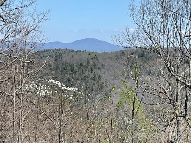 830 Fortescue Rd, Zirconia, NC 28790 - mountain view with a wooded view