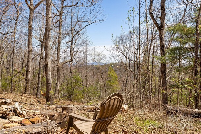 830 Fortescue Rd, Zirconia, NC 28790 - view of yard featuring a forest view