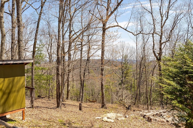 830 Fortescue Rd, Zirconia, NC 28790 - view of yard featuring a wooded view