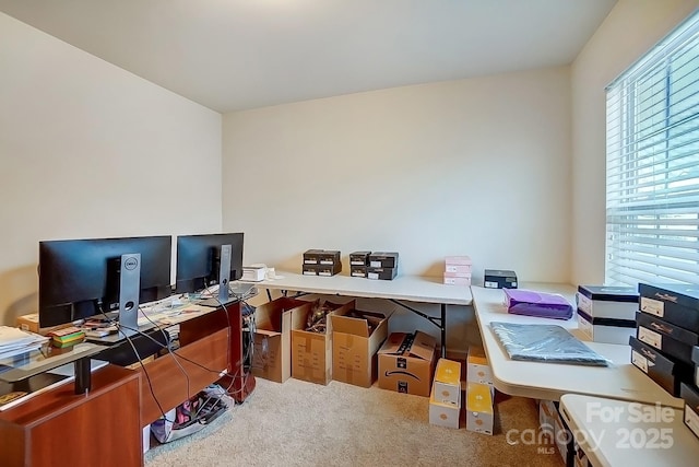 office space with a healthy amount of sunlight and carpet floors