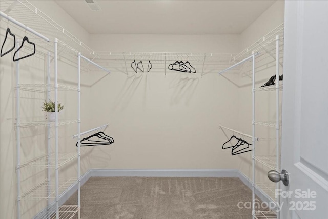 walk in closet featuring carpet