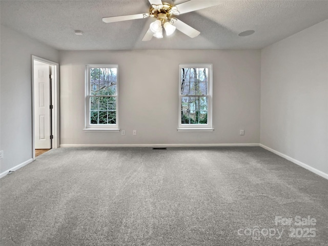 empty room with carpet, baseboards, and a wealth of natural light