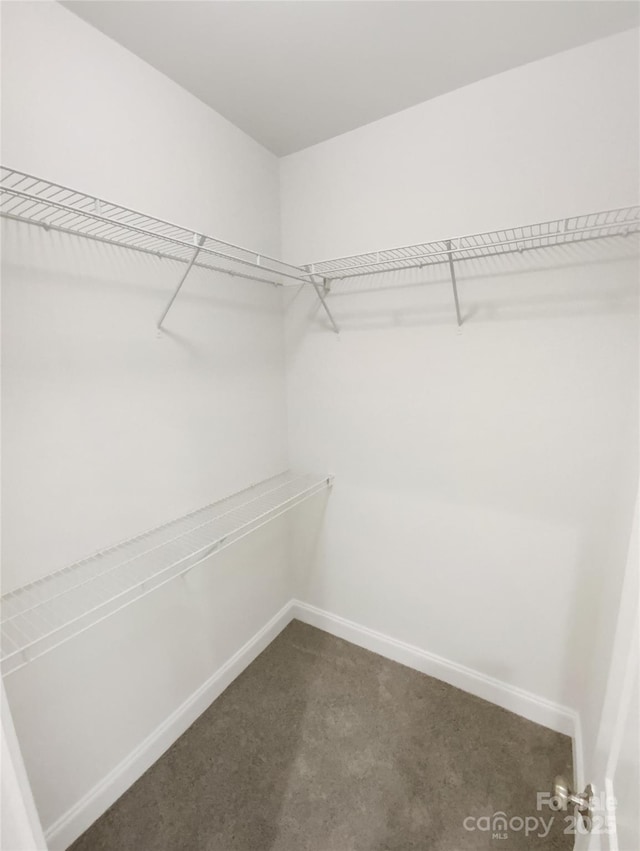 walk in closet with dark colored carpet