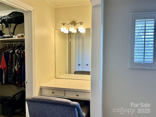 interior space with crown molding and a spacious closet