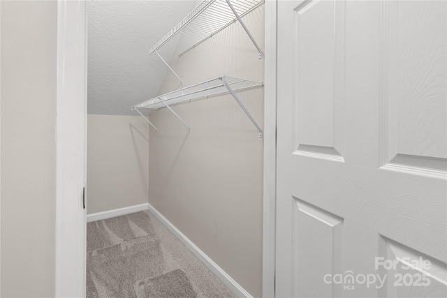 walk in closet featuring lofted ceiling and carpet