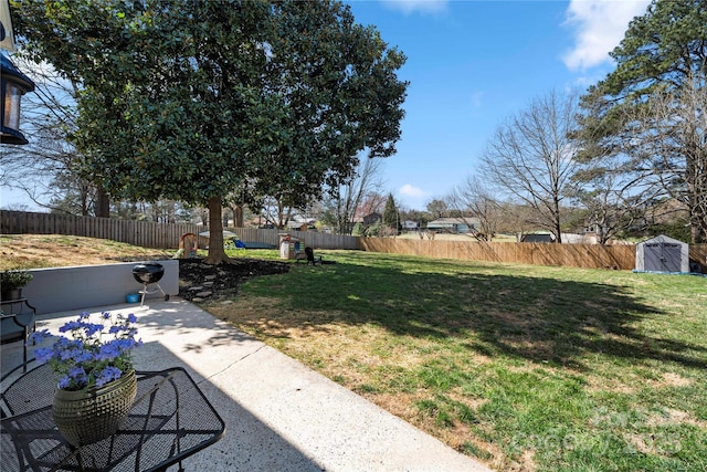 view of yard with a patio area, an outdoor structure, a storage shed, and a fenced backyard