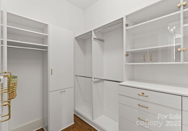 spacious closet with dark wood-style flooring