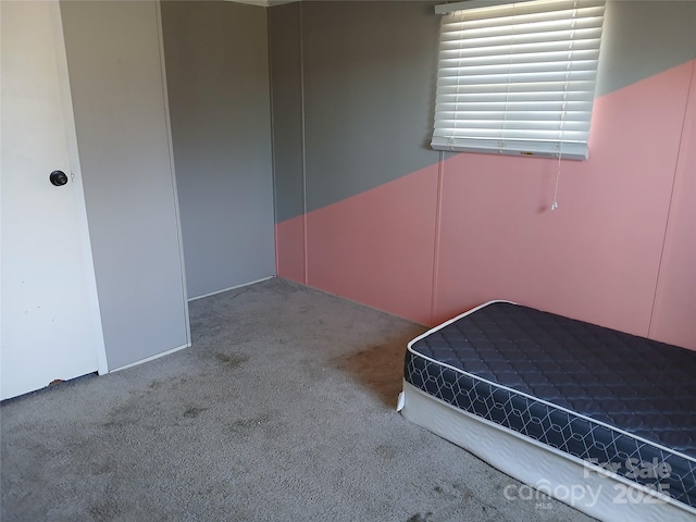 unfurnished bedroom with carpet floors