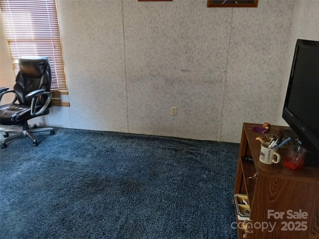 office area featuring carpet flooring