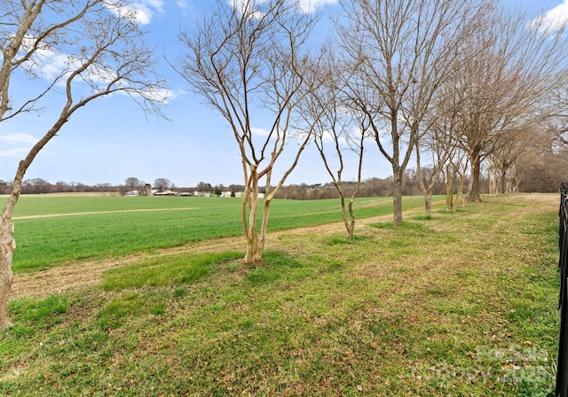 view of yard with a rural view