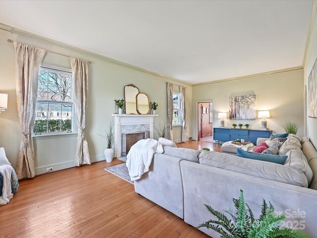 living area with plenty of natural light, light wood-style flooring, crown molding, and a premium fireplace