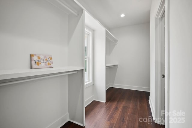 walk in closet with wood finished floors