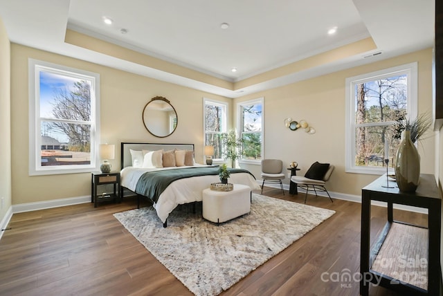 bedroom featuring a raised ceiling, multiple windows, and wood finished floors