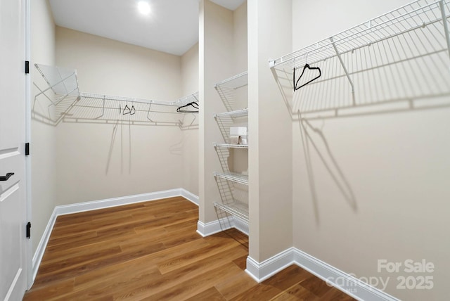 spacious closet featuring wood finished floors