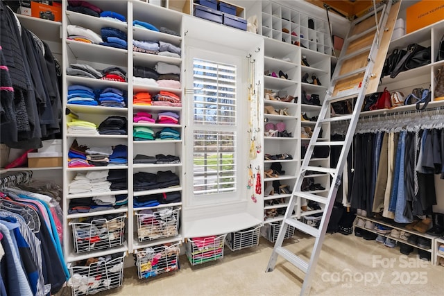 view of walk in closet