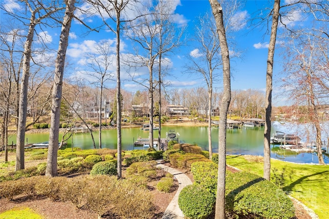 view of water feature featuring a boat dock