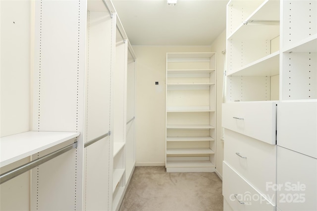 spacious closet featuring light colored carpet