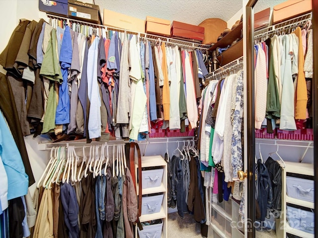 spacious closet with carpet floors