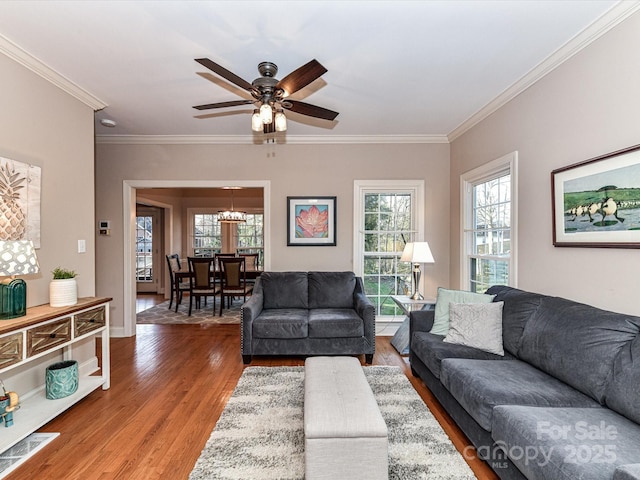 living area featuring visible vents, crown molding, light wood finished floors, baseboards, and ceiling fan