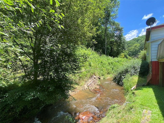 895 Laurel Valley Rd, Mars Hill, NC 28754 - view of yard with a view of trees