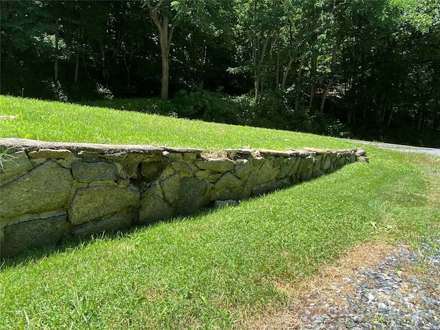 895 Laurel Valley Rd, Mars Hill, NC 28754 - view of green lawn