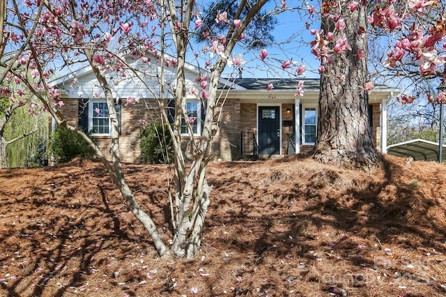 single story home featuring a carport