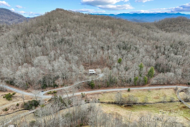 view of mountain feature featuring a forest view