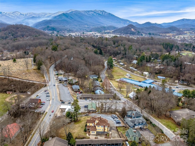 birds eye view of property with a mountain view