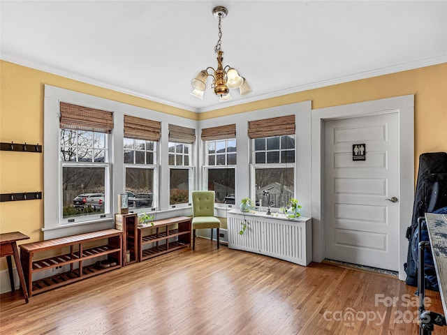 interior space with a chandelier, a healthy amount of sunlight, and radiator heating unit