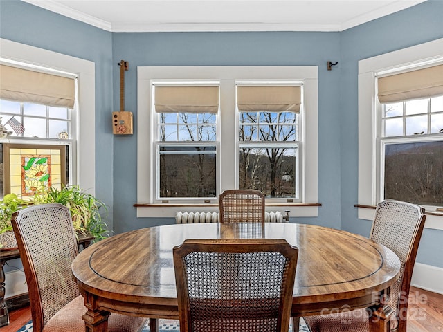 dining space featuring crown molding and wood finished floors