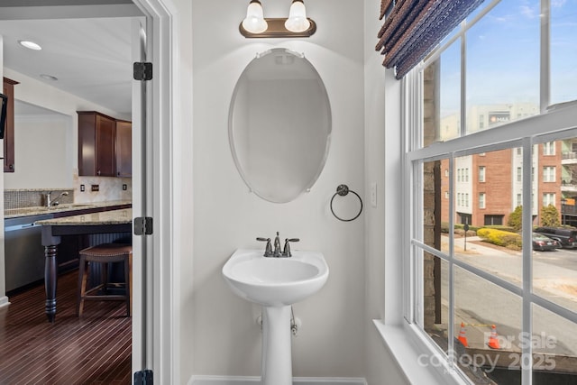 bathroom featuring tasteful backsplash, wood finished floors, and a sink