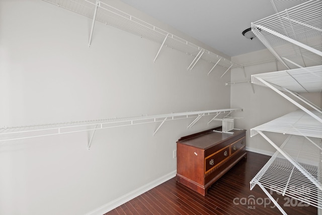 spacious closet featuring dark wood finished floors