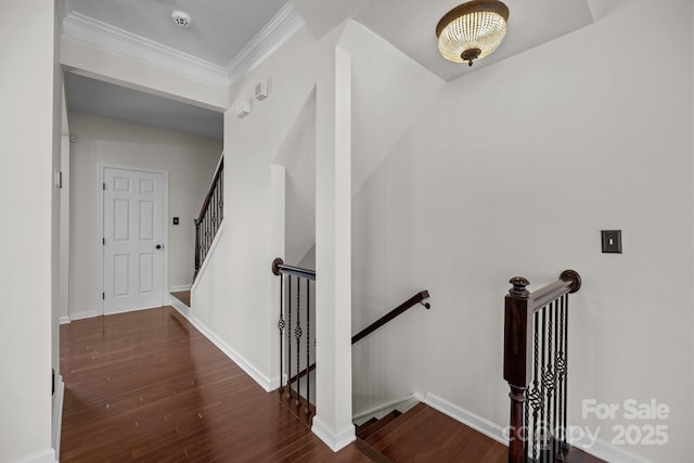 stairs with wood finished floors, baseboards, and ornamental molding