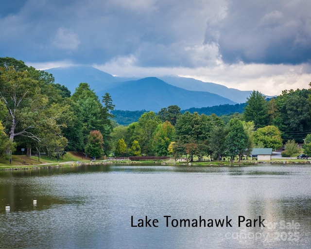 property view of water featuring a mountain view