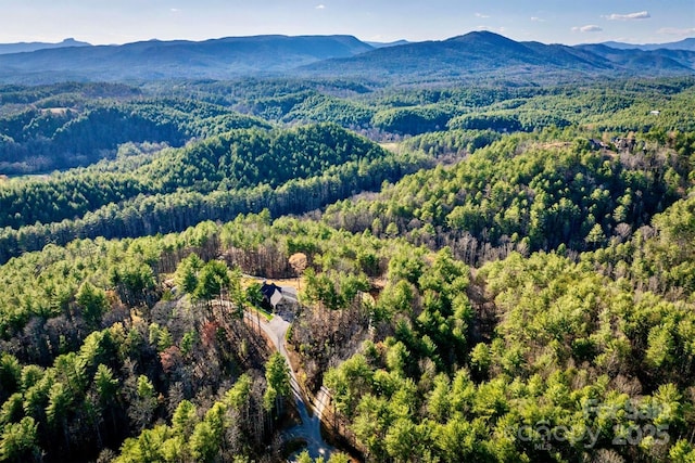 birds eye view of property with a mountain view and a view of trees