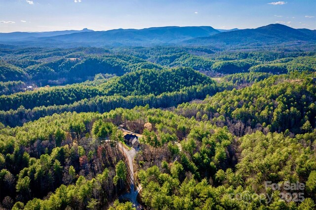 birds eye view of property featuring a forest view and a mountain view