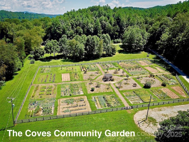 bird's eye view featuring a rural view and a forest view