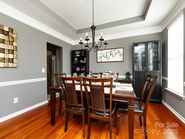 dining space with a tray ceiling, wood finished floors, and a healthy amount of sunlight