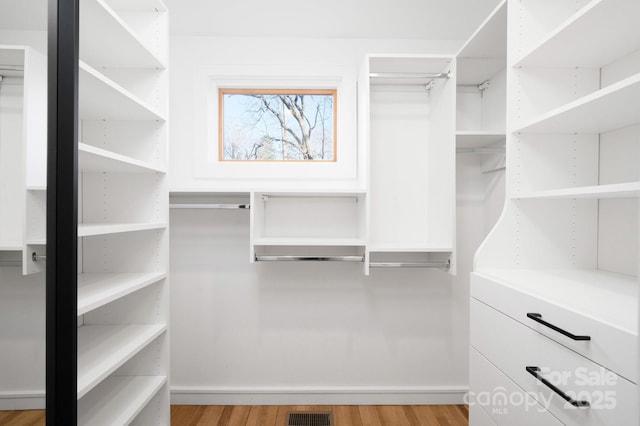 spacious closet featuring light wood finished floors and visible vents