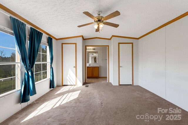 unfurnished bedroom with a textured ceiling, vaulted ceiling, carpet floors, and ornamental molding