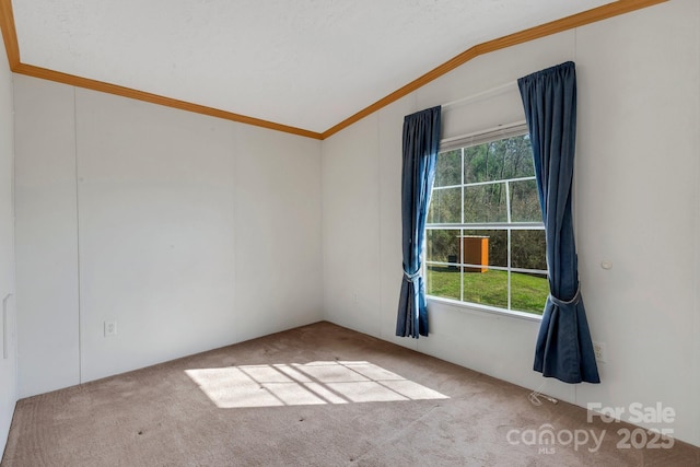 carpeted spare room featuring crown molding and vaulted ceiling