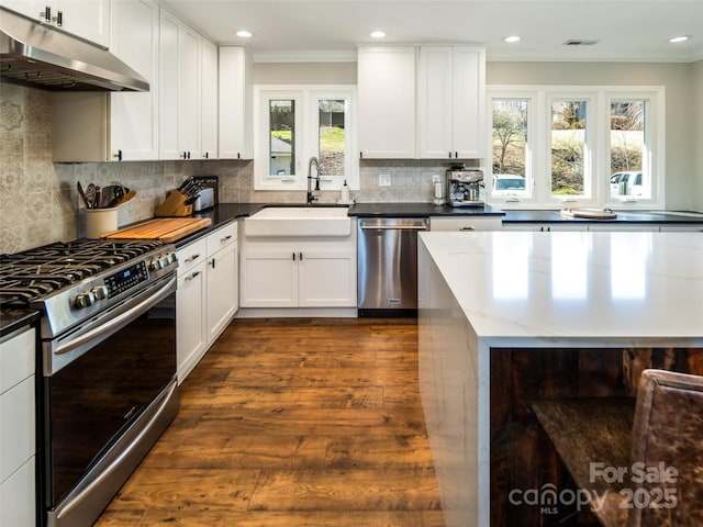 kitchen featuring under cabinet range hood, a sink, dark wood-style floors, stainless steel appliances, and decorative backsplash