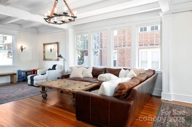 living area featuring plenty of natural light, an inviting chandelier, and hardwood / wood-style flooring