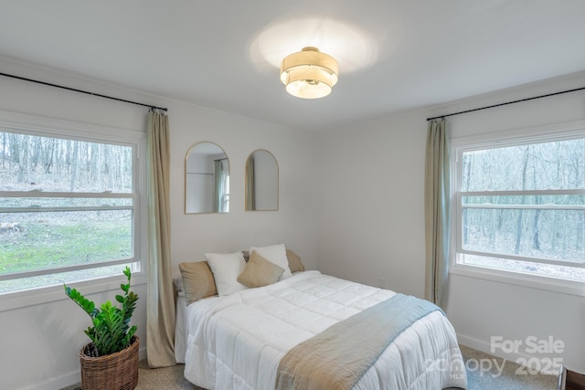 bedroom with multiple windows