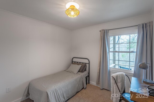 bedroom with multiple windows and carpet floors