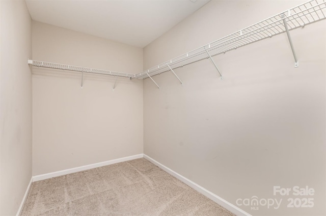 1120 Freeman View Dr, Albemarle, NC 28001 - spacious closet featuring carpet