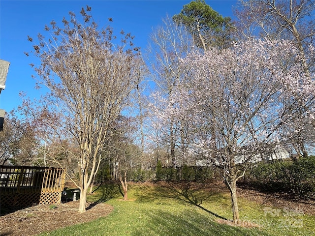 view of yard featuring a deck