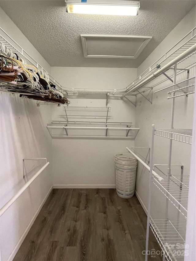 spacious closet featuring attic access and wood finished floors