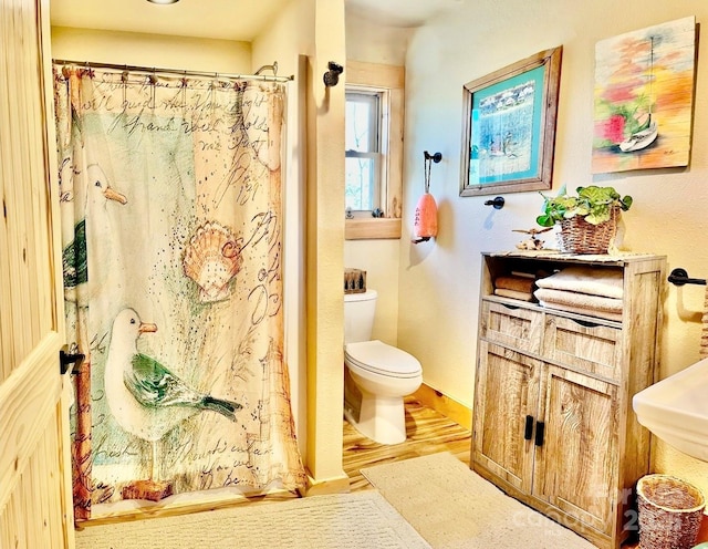 6033 Low Country Rd, Lenoir, NC 28645 - full bathroom featuring a shower with shower curtain, baseboards, toilet, wood finished floors, and vanity