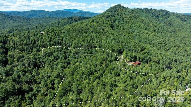 TBD Quiet Creek Lane, Lenoir NC, 28645 land for sale